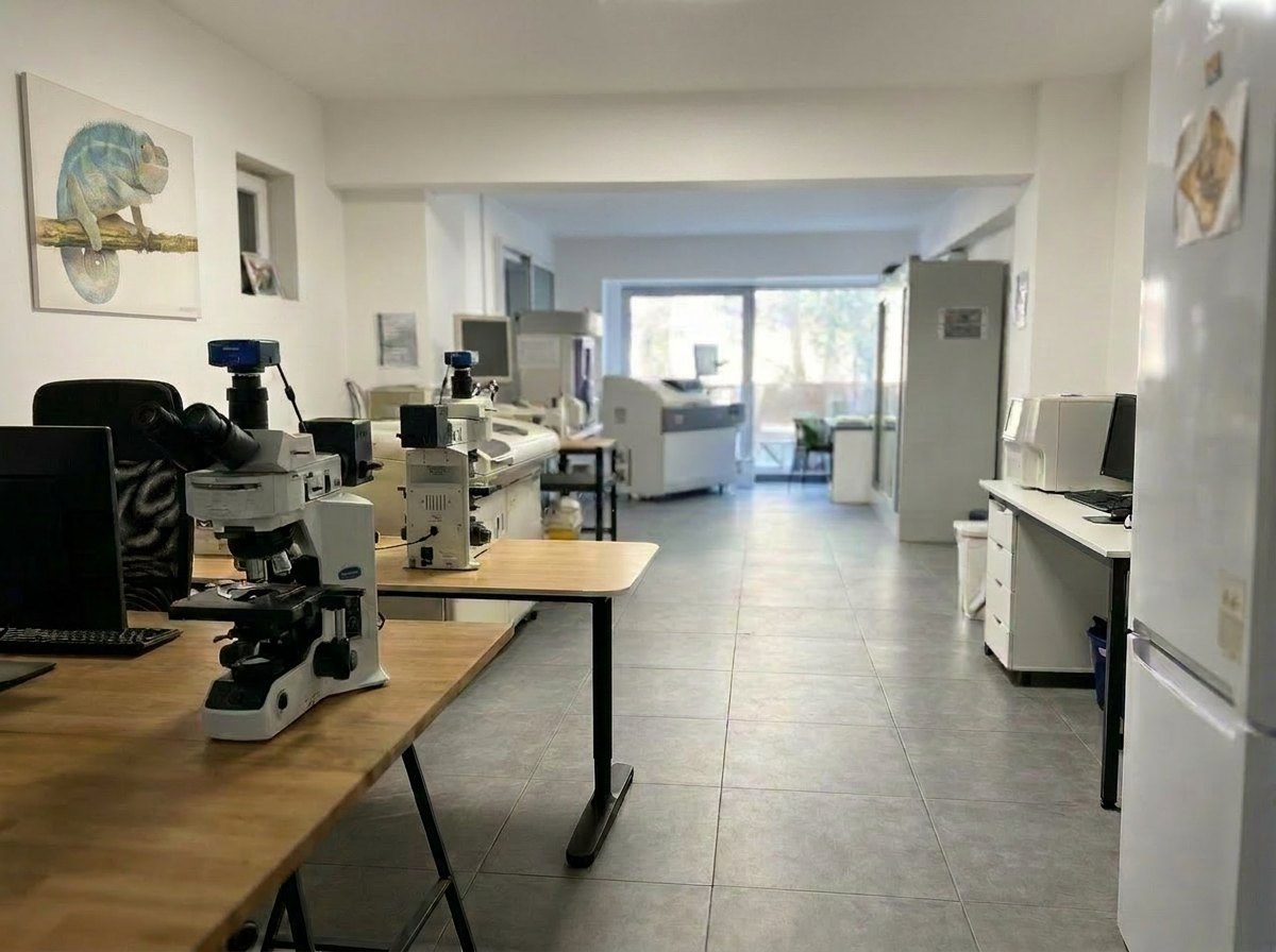 Dermatological diagnostics — VetPro laboratory